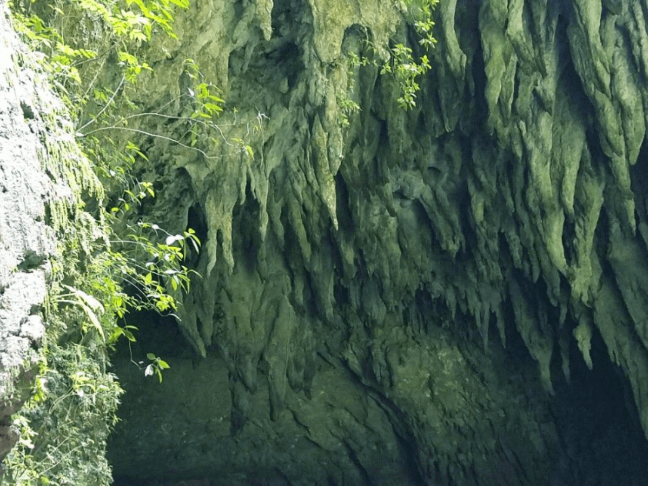 Explore Puerto Rico Global Car Rental