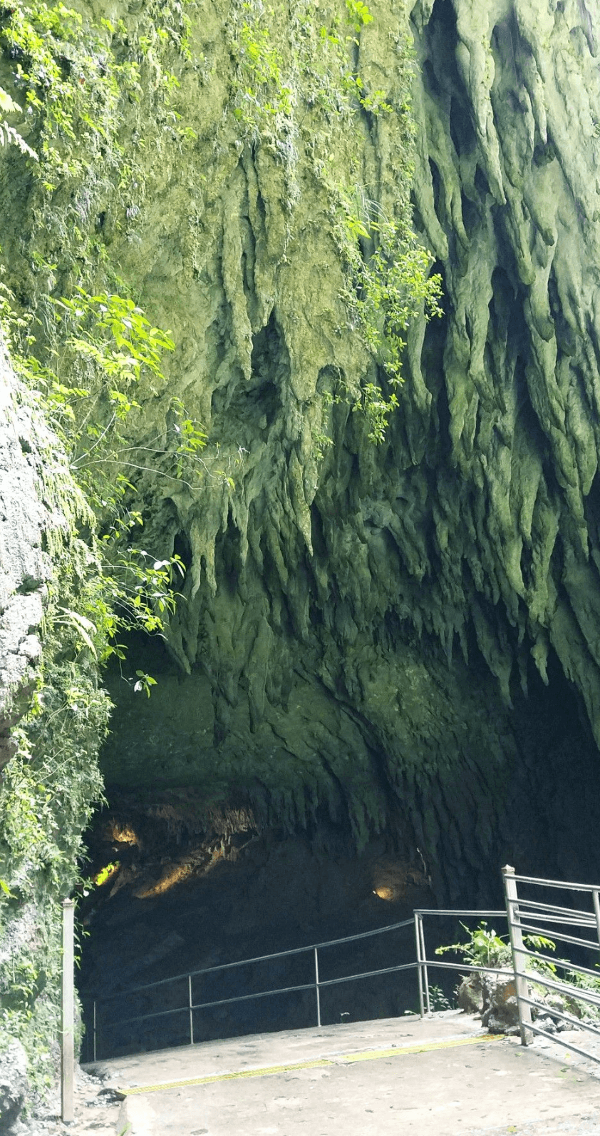 Explore Puerto Rico Global Car Rental