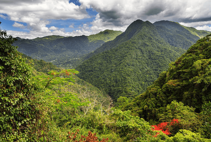 Explore Puerto Rico with one of our car rentals