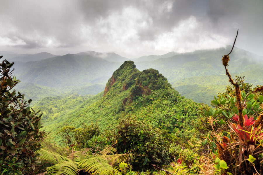 Affordable truck rentals in Puerto Rico